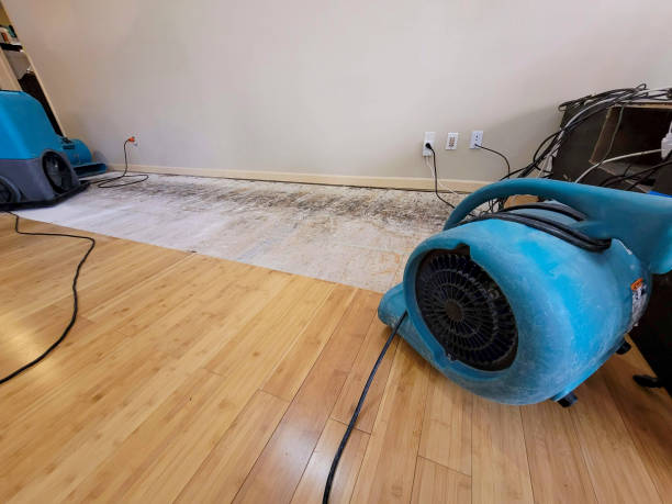 Professional Emergency Water Damage technician working in South Dennis, NJ